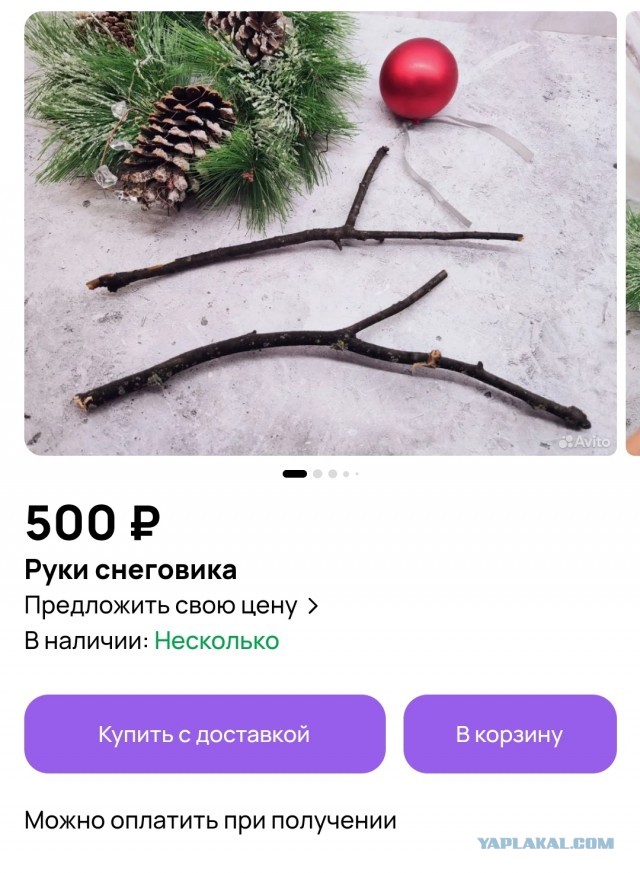 В Гренландии объявили мобилизацию