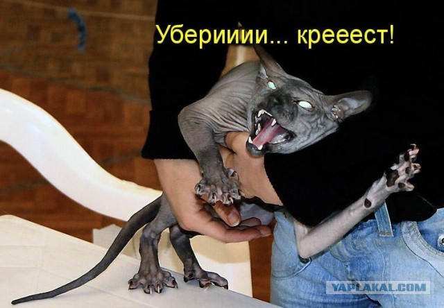 Воплощение зла
