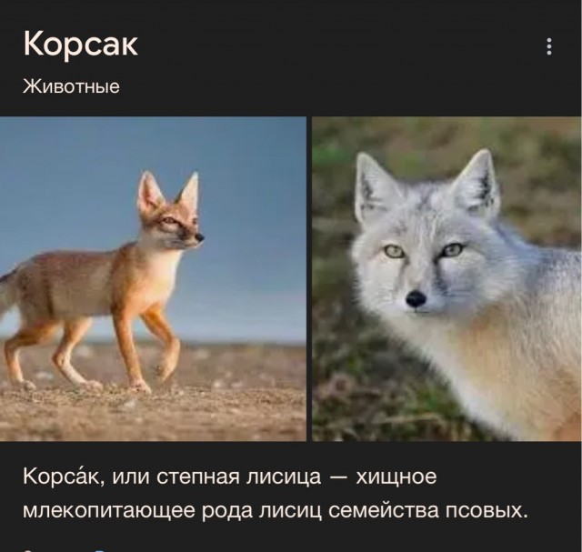 Немного об Астрахани.