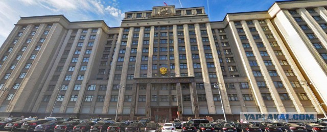 Все фрики в одном месте
