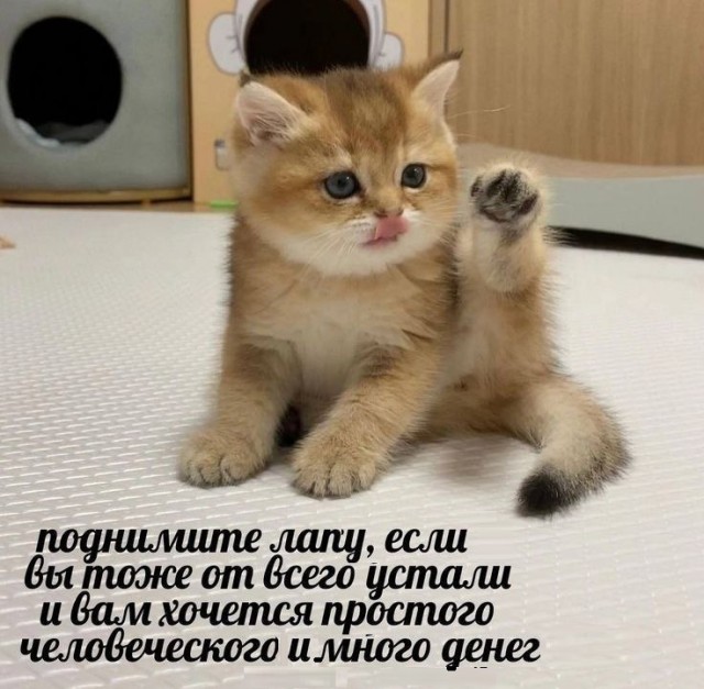 Картинки разные с надписями и без