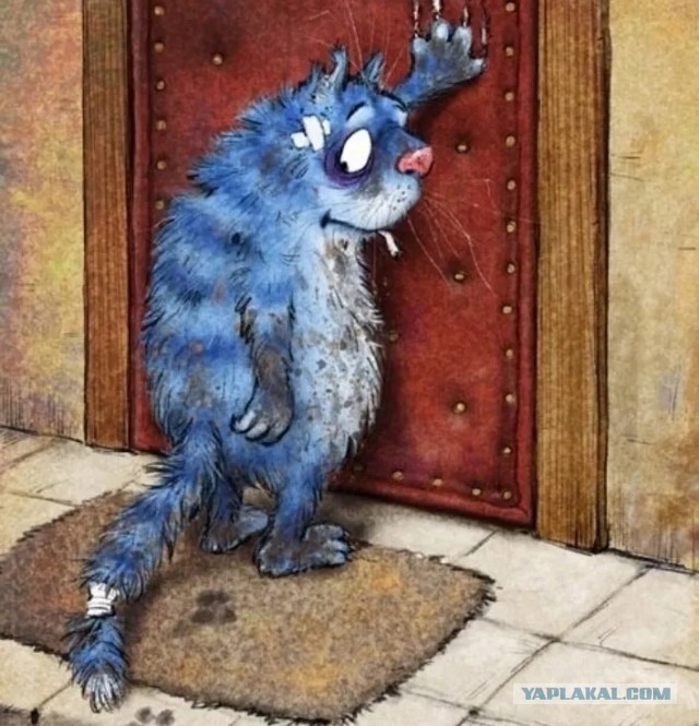 Завалялось тут случайно немного забавных картинок