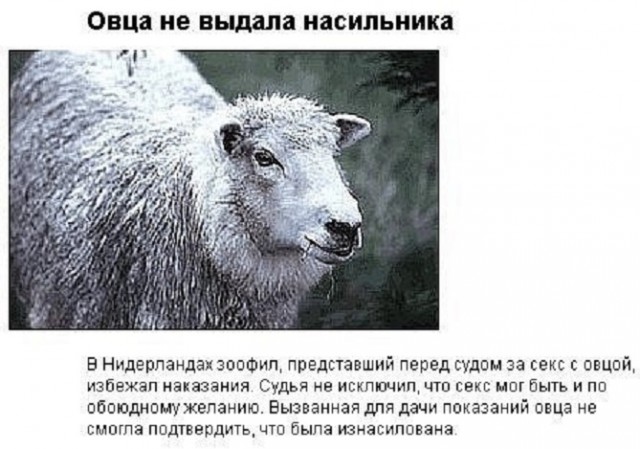 Вам всё равно никто не поверит: 30 фото удивительных случаев от пользователей Сети