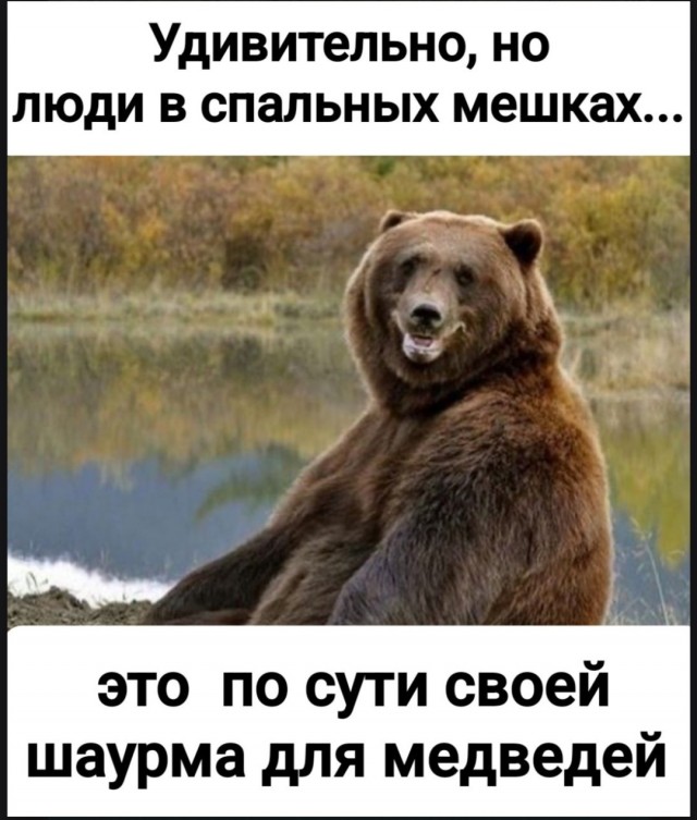 Так себе картинки 12.05.25