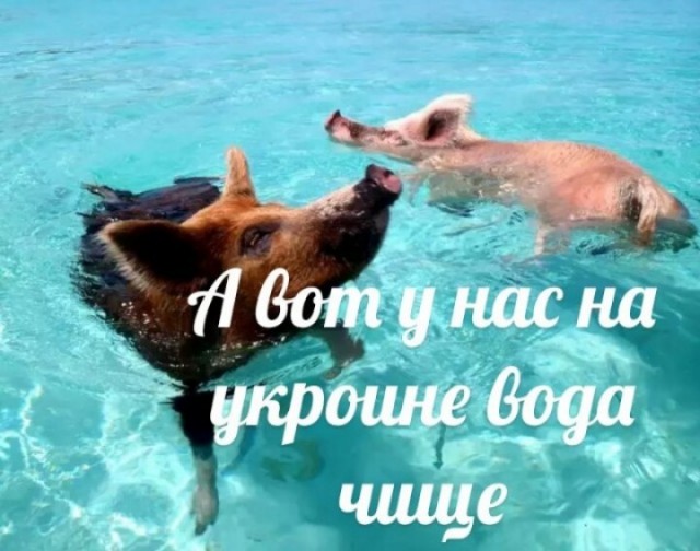 Дичь. Просто дичь