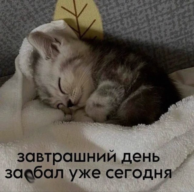 Сундук деграданта! Выпуск номер 9