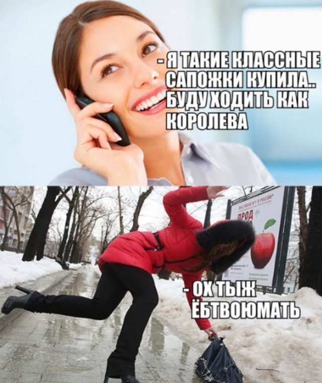 Веселые картинки в пятницу (14.11)