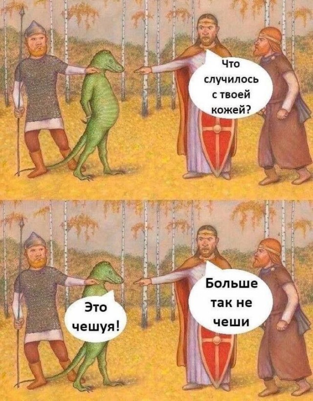 Владельцев кошек и собак в России обяжут чипировать питомцев и ставить их на учёт — СМИ