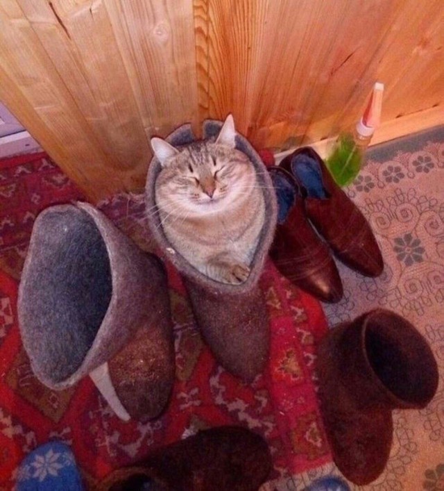 В интернете все смелые