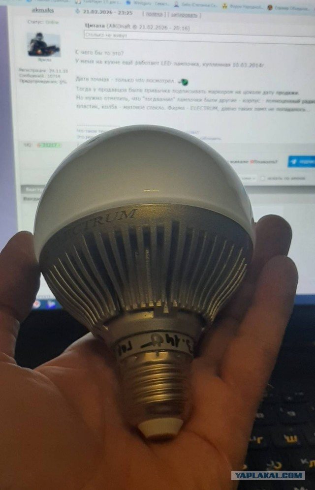 Выпьем, не чокаясь... за лампочку над парадной.