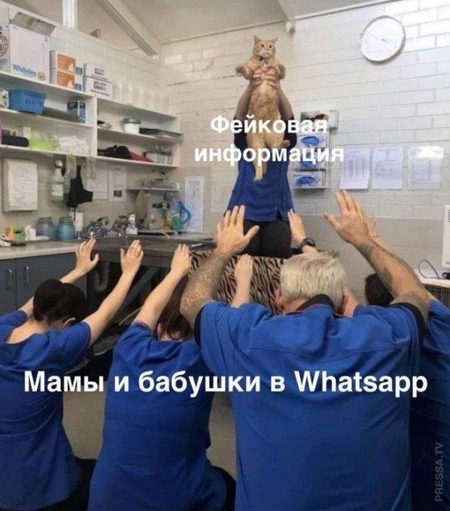 Веселые картинки в пятницу (24.04)