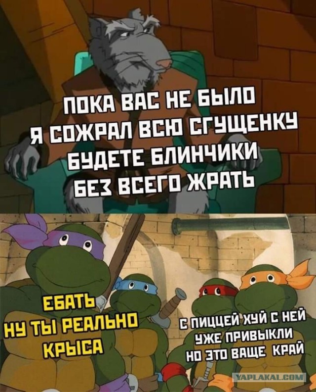 В Китае задержали женщину с примотанными к ногам живыми черепахами