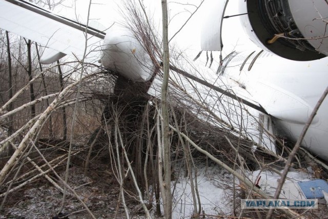 Разбитый самолет в Домодедово!