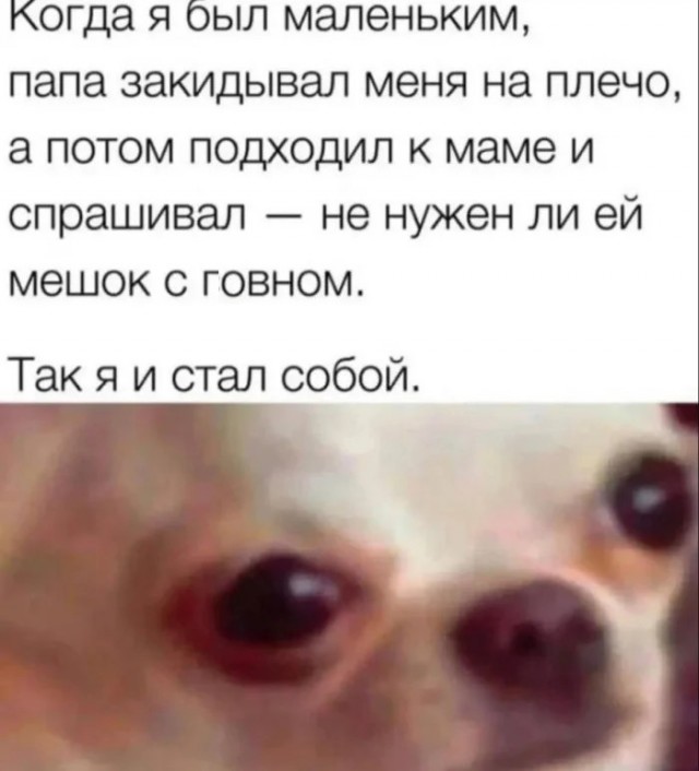 Картиночки, баянчики 27 июня