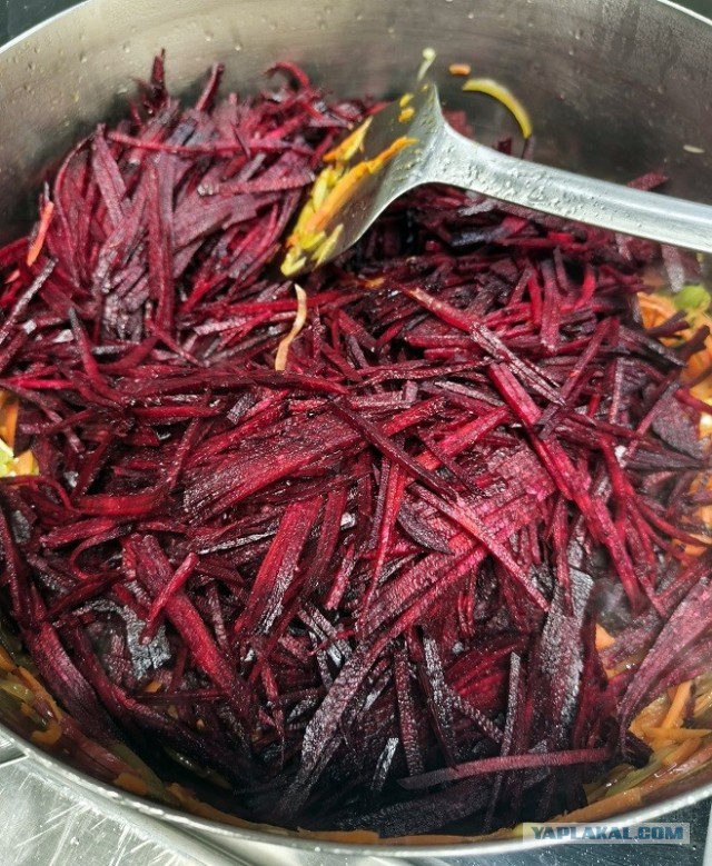 Трактат о борще без мяса и на воде
