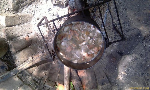 За грибами