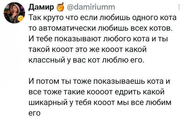 Картинки для деградации 310 (разной степени свежести)