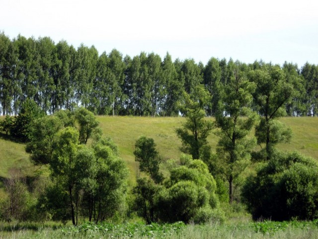 Поездка на Тамбовщину