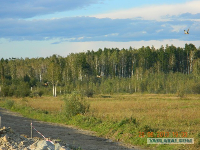 В рейсе 2