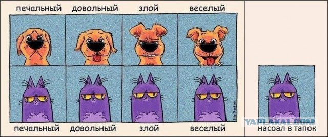 Разница
