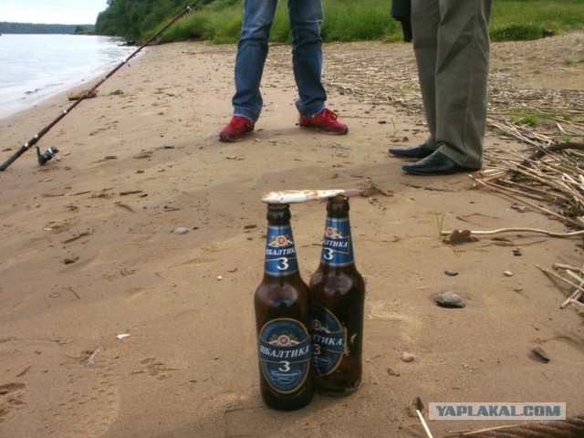 Рыбалка в Персидском заливе