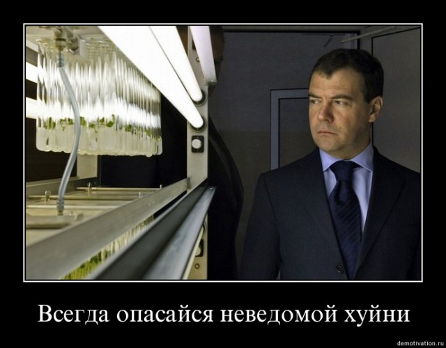 Дима, ты ещё будешь? Дима? Димооон?