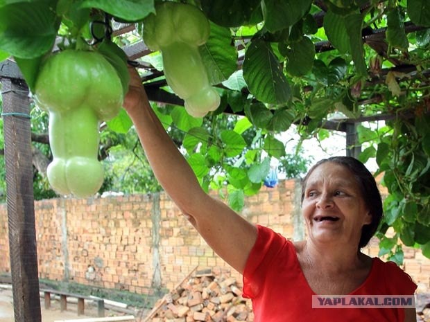 Бабкины перчики