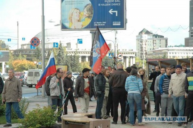 Прямая трансляция марша мира!