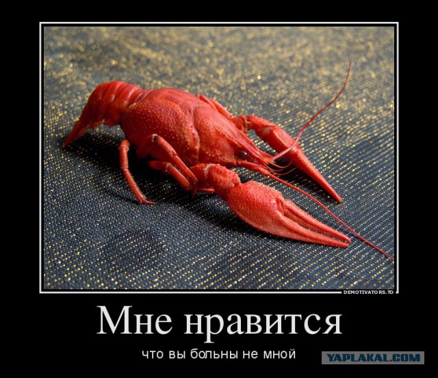 Чутка картинок