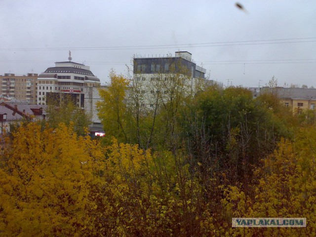 А что у Вас сейчас?