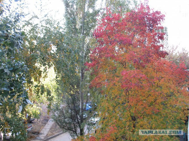 А что у Вас сейчас?