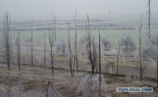 Приднестровье. Наши дни.