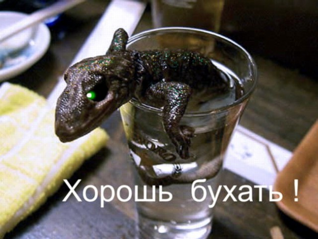 Картинки из интернетов