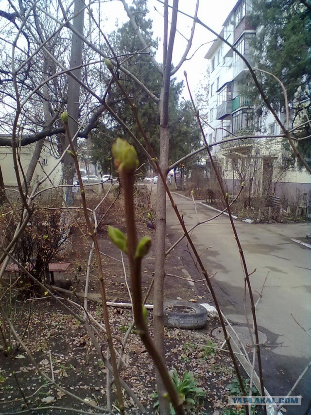 Новости из жизни Краснодара в цифрах
