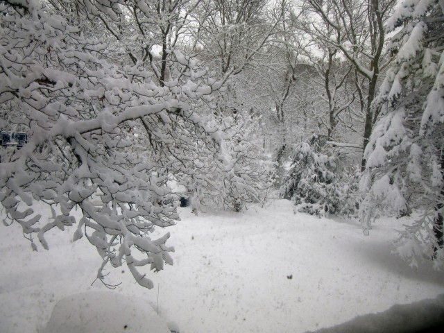 Деревенская Америка