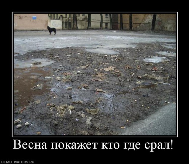 На улице потеплело