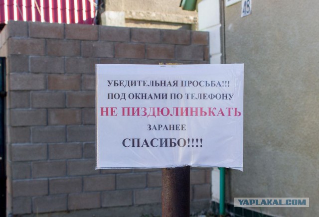 Перед тем, как смотреть клубнику на ЯПе
