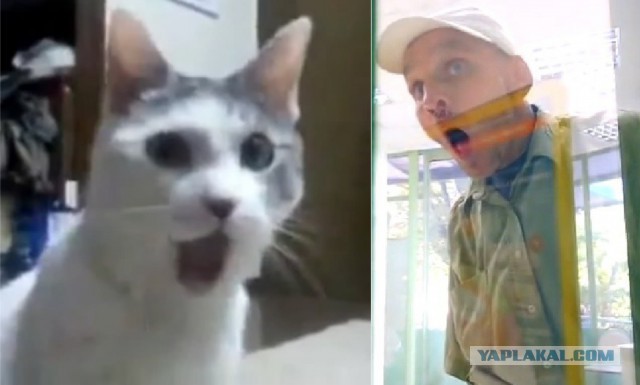 Скоро лето