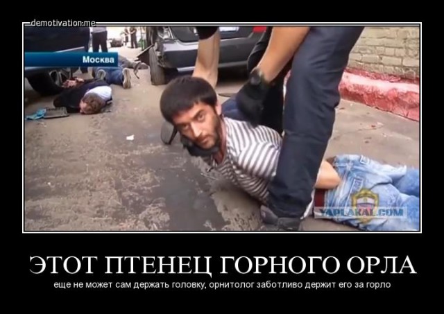 Как вы были задержаны? Блестяще!
