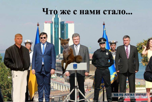 Это фото даже жабить не надо