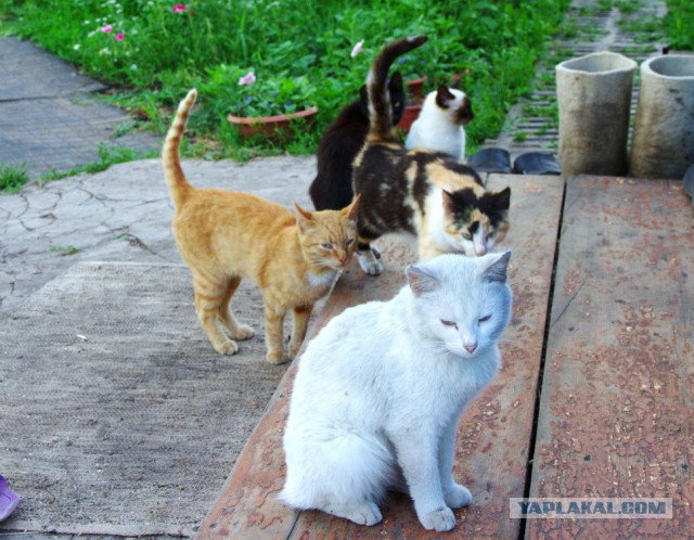 Попросил ребят сфотать как работаю...