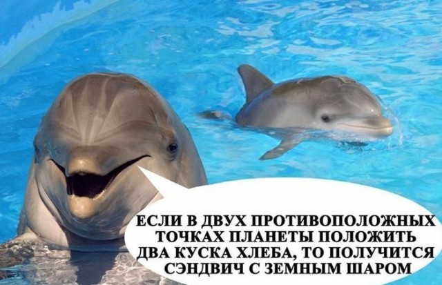 Лёгкой наркомании и тупости пост