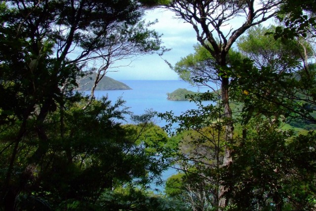Great Barrier Island. Новая Зеландия.