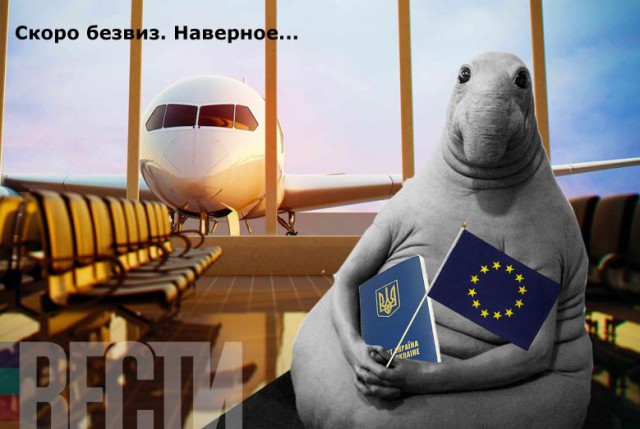 ЕС пообещал Киеву финансовую помощь в обмен на украинский лес