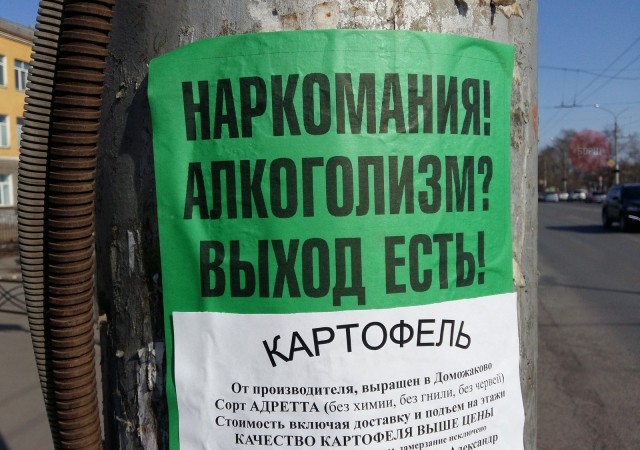 Подборка безудержного веселья