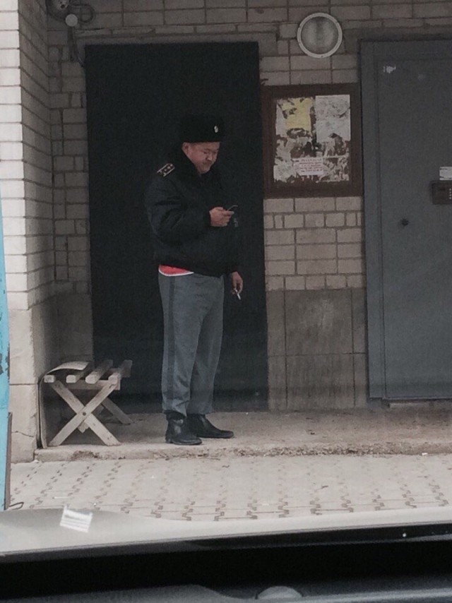 Подборка безудержного веселья