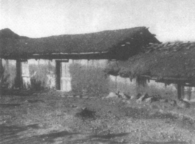 Эрнесто Че Гевара биография, фото. Жизнь и последний поход команданте.