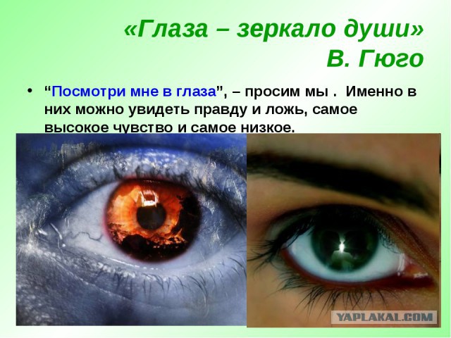 Что ищут офтальмологи у пациентов в 45 лет и старше?
