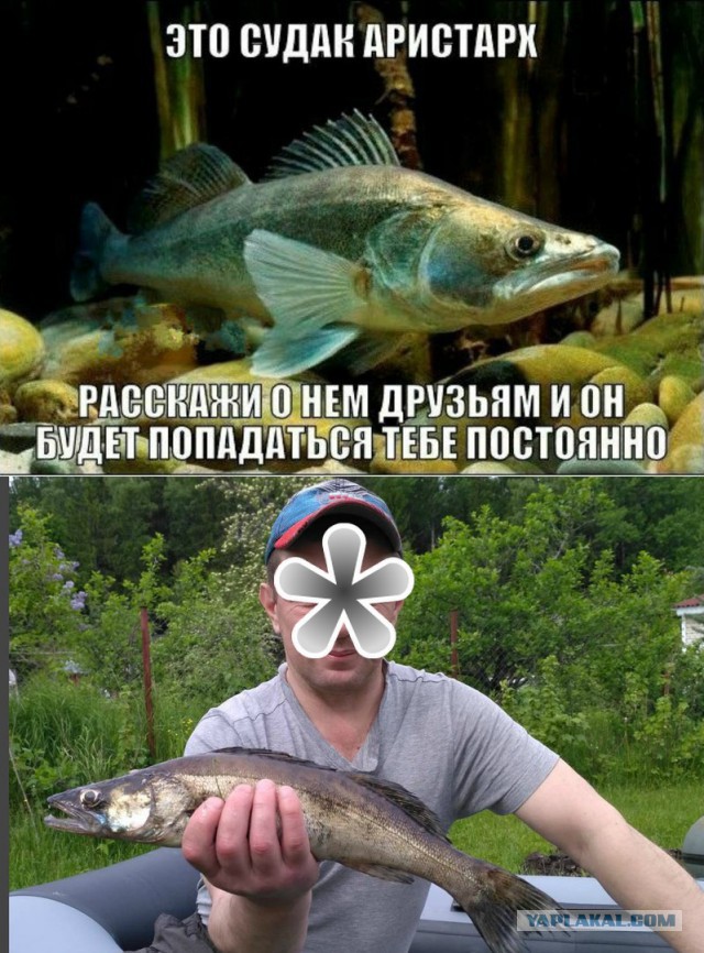 Рыба моей мечты