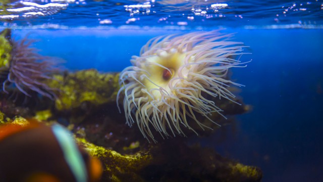 Просто Природа